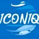 ICONIQ FASHION